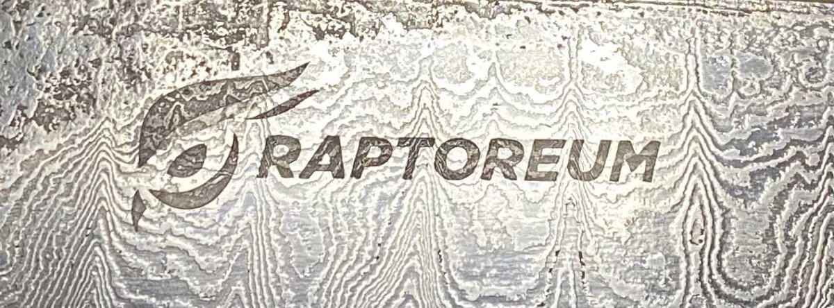 CryptoSmith01's tweet image. It’s not if, but when. 

Quality always pushes forward 
$RTM #Raptoreum #thoon