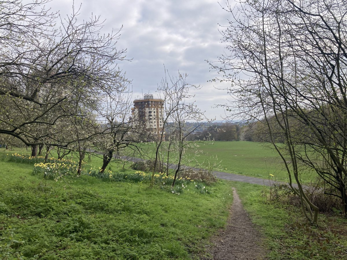 doristhehat on Twitter "Pretty in The Ponderosa . My nearest park. A