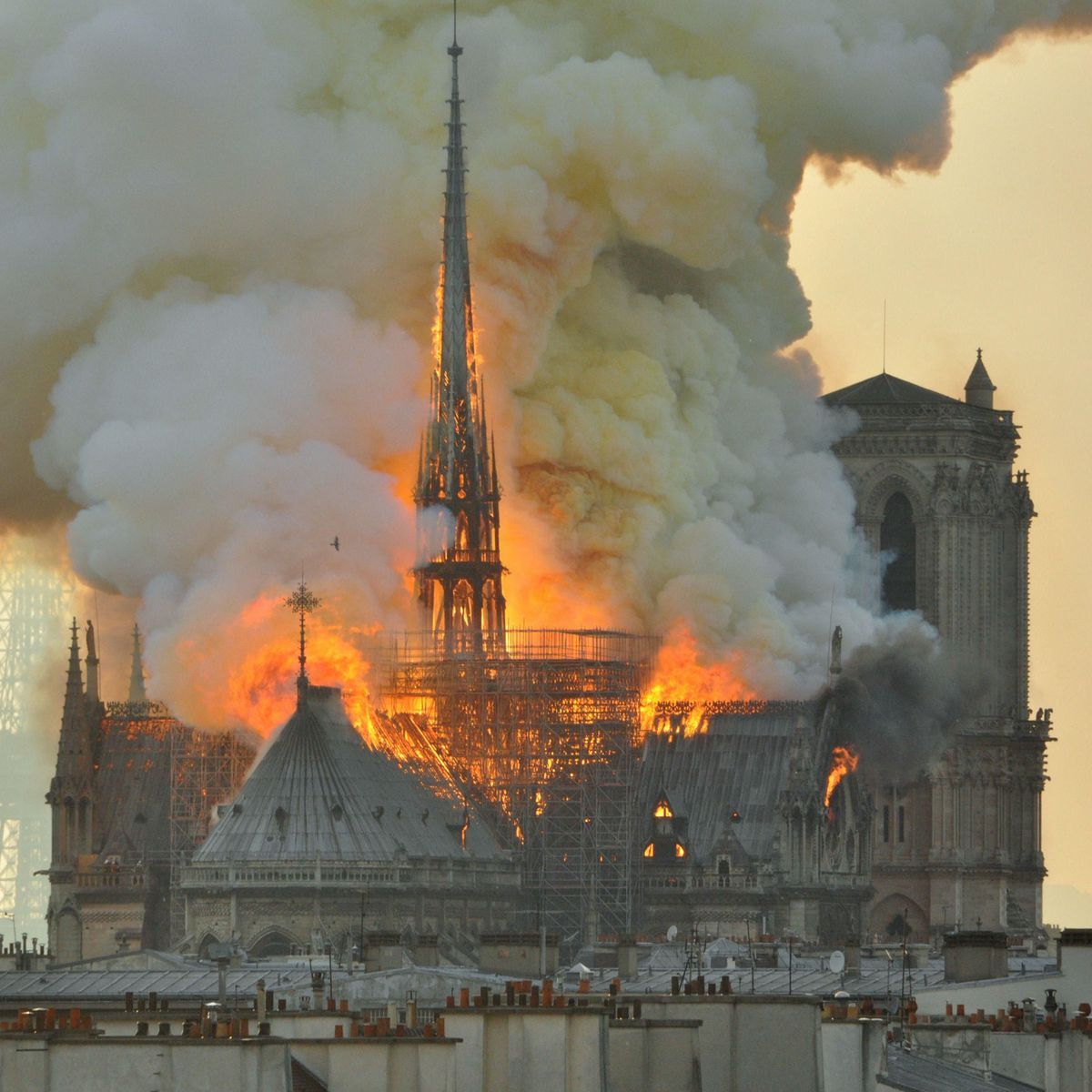 Stephane_Poli's tweet photo. Emmanuel Macron est le Tartuffe absolu de notre temps, un esprit méchant, qui cache sa médiocrité, son peu d'élévation intellectuelle et morale, derrière des artifices de communication.

En vérité, Macron est un être superficiel, narcissique, froid, méprisant, manipulateur, perfide, hypocrite, incapable de faire preuve d'une once d'empathie ou de compassion vis à vis des Français.

Il n'y a chez Macron qu'une seule cohérence : tout en lui est faux et tout chez lui sonne faux. Au-delà, tout n'est qu'apparences, fabriquées par des experts en communication et des médias complaisants.

L'homme n'est pas aimable mais dur et sec.

Et, derrière les images bien lissées, les simagrées, les inflexions surjouées et les sourires de façade, percent rapidement le regard froid et le sourire carnassier de l'homme qui est prêt à tout, sans état d'âme, pour atteindre ses objectifs et son intérêt.

Malheureusement, la vérité est parfois si peu complexe qu'il suffit de seulement quelques lignes pour clairement l'exprimer.

Macron est une baudruche, un ego surgonflé. Il est une marionnette qui ne sait qu'exécuter des ordres. A la table des vrais décisionnaires du monde, il n'est pas invité.

Cet homme, contrairement à l'image fabriquée de toutes pièces par les médias, est vide, peu intelligent et il ne possède aucune vision, aucune ambition, aucun projet.

Sa philosophie politique est aussi médiocre que son esprit et tient en une phrase : être faible avec les puissants et être puissant et intraitable avec les faibles.

Notre pays est ainsi dirigé par un simulacre de président, un foutriquet. Derrière Jupiter se cache un petit homme faible, soumis, incapable de se faire respecter. Macron est un président d'opérette, une contrefaçon de l'esprit français.

Sarkozy fut parfois ridicule, Hollande fut souvent grotesque, Macron est toujours médiocre.

Et, comme si cela ne suffisait pas, comme tous les êtres insuffisants et stupides, il adore mépriser.

Comment parvenir à respecter un tel homme qui sans cesse se complaît dans le mépris du peuple, dans l'outrance, l'insulte et le défi ?

C'est tout simplement impossible.

Comme un ultime symbole, le soir de l'incendie de Notre-Dame de Paris, le 15 avril 2019, il y a exactement quatre ans, alors que les Français et des millions de personnes, partout dans le monde, étaient choqués, marqués, émus, le président de la République devant le si tragique spectacle se pavanait et riait !

Devant cet homme incapable de décence, incapable de comprendre l'émotion d'un peuple touché au cœur et à l'âme, incapable de communier avec la nation, une fois encore, les médias durent inventer une histoire, un mauvais un roman-photo pour masquer la vérité.

Sadique et malsain, à chaque occasion, Macron se montre incapable d'apaisement. Même quand, très loin de tout sentiment, la raison, seule, commande de se montrer calme, mesuré, rassembleur, Macron ne peut s'empêcher de provoquer et de générer la division.

Ainsi, depuis 2017, ostensiblement, il montre sa véritable nature, celle d'un homme incapable de comprendre l'Histoire, incapable d'aimer et de défendre la France, incapable tout simplement de se dépasser et d'élever son esprit vers davantage de dignité.

C'est ainsi que la France est meurtrie chaque jour davantage et traverse notre temps en suivant les traces de son piètre président c'est-à-dire de vexations en humiliations.

L'actuel président de la République ne représente rien à mes yeux. Il abîme une fonction et une nation dont il n'est pas digne. Il met constamment en danger la France, son unité et l'intégrité de sa société. Il est donc dangereux.

Les médias peuvent interminablement évoquer sa prochaine intervention lundi prochain, cela ne m'intéresse pas.

Le président a encore une République mais la République n'a plus de vrai président.

@DLF_Officiel
@dupontaignan

#Macron
#ReformeDesRetraites
#Macronie
#NotreDamedeParis
#ToutCramer