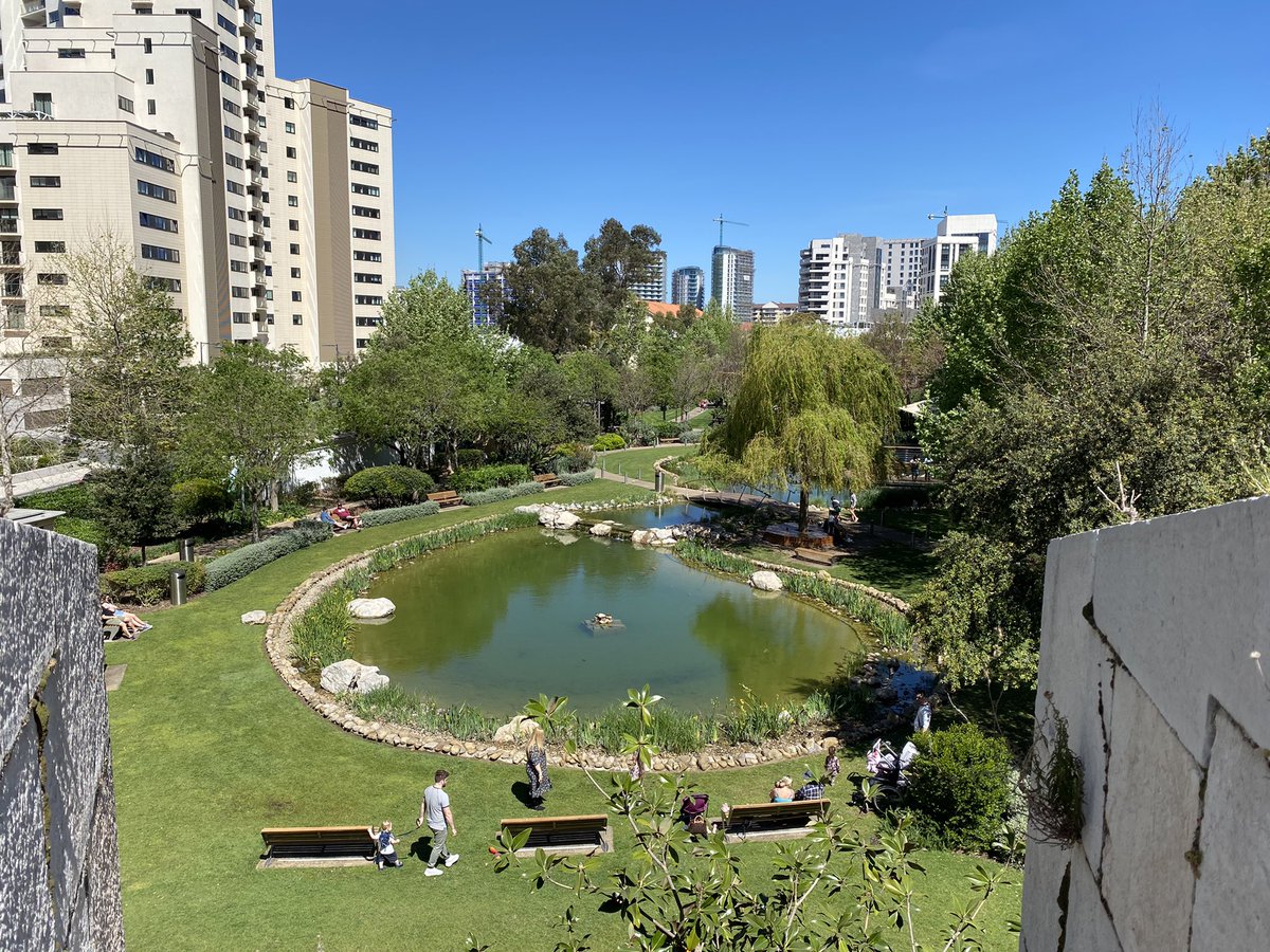 Paul Hayward tweet media