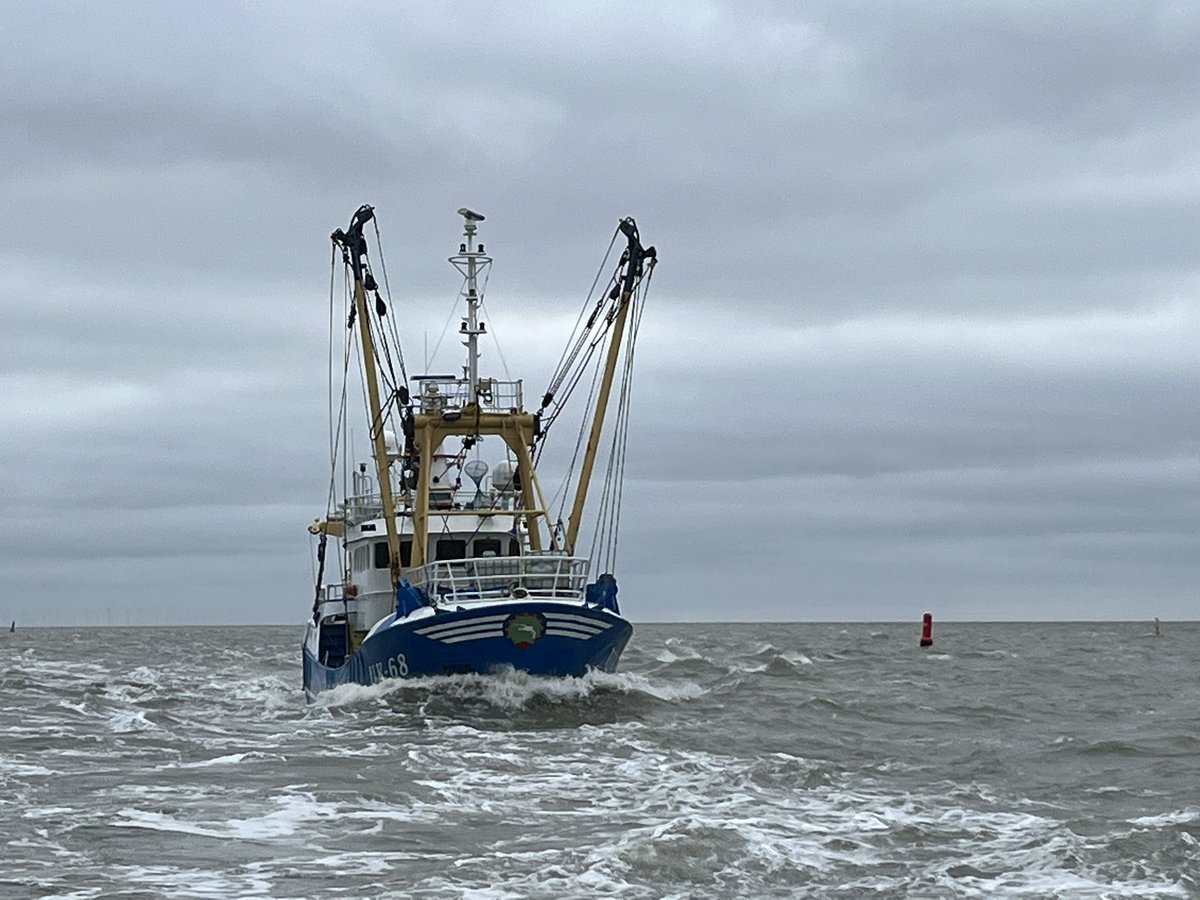 Kat achter kat naar Harns (Harlingen) op de plaat gevat.