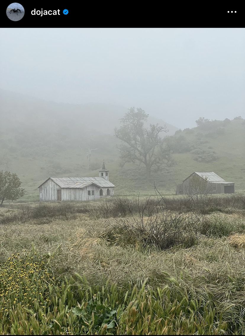 DiamondsOnShai's tweet image. Yet another cryptic foggy nature pic on the road to #Hellmouth