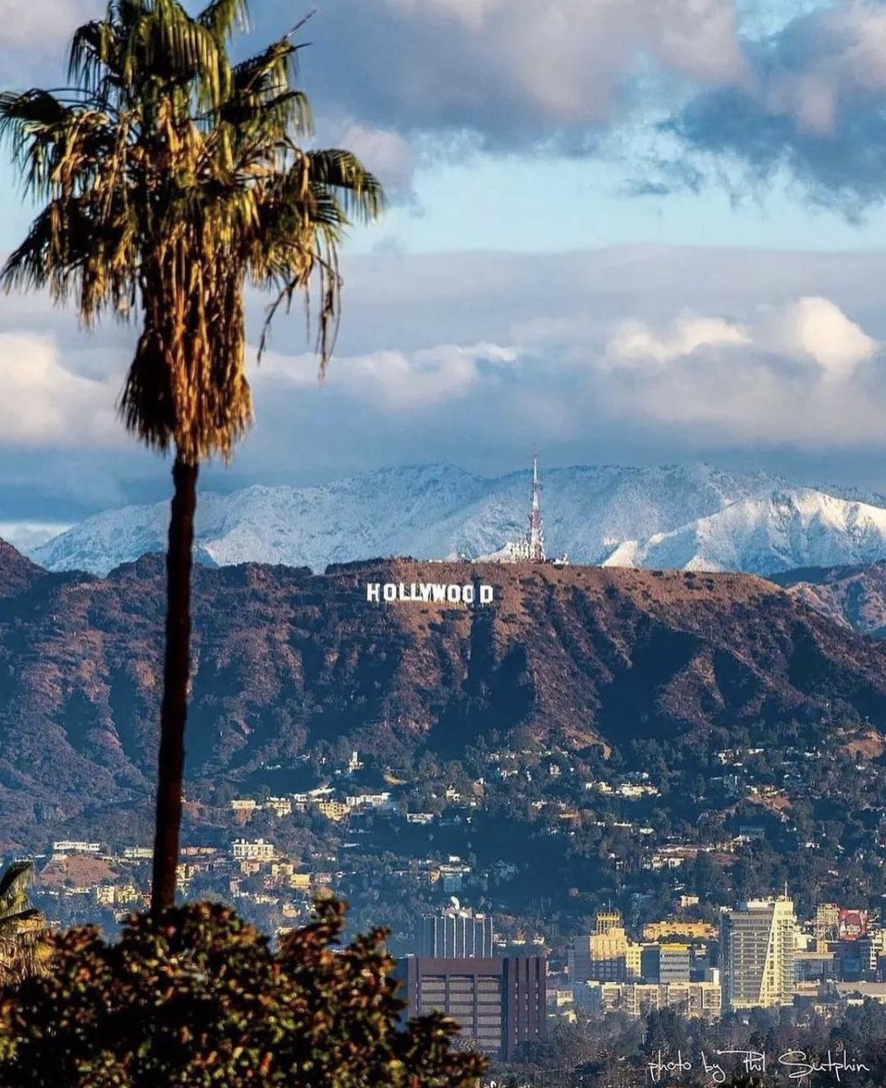 SerraldeVIP's tweet photo. Amo Los Angeles!! 😊 y tú donde vives?! ☺️ https://t.co/iglaSWFGEB