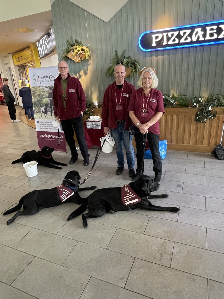 More chilled out ⁦<a href="/HearingDogs/">Hearing Dogs for Deaf People</a>⁩ labs on duty at Beaconsfield Services. Nice to see so many dog lovers! ⁦<a href="/VolTeamHDogs/">Volunteering H-Dogs</a>⁩ ⁦<a href="/KGHearingDogs/">Kevin Game</a>⁩ ⁦<a href="/DavidMooreFoto2/">david</a>⁩ ⁦<a href="/ExtraServicesUK/">ExtraServicesUK</a>⁩ - many thanks