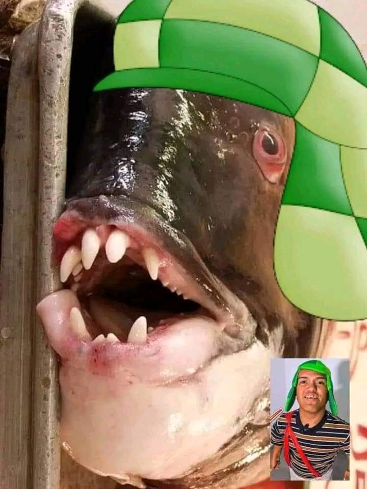 Pagano_WR's tweet photo. @MedioMetro_Ofi Después de ver el vídeo del trono de México pienso que cada ves se hace más canon está foto tuya https://t.co/YkNssssDza