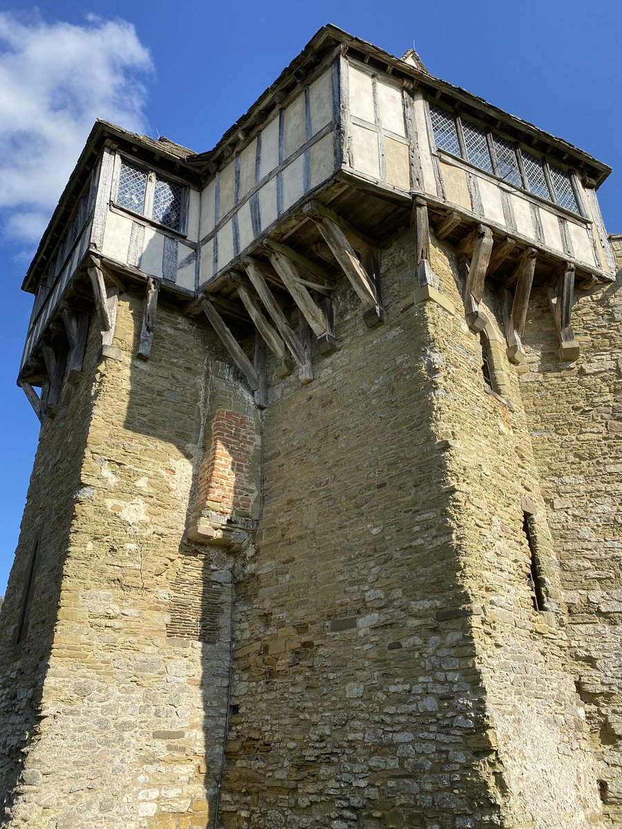 Dr Francis Young tweet media