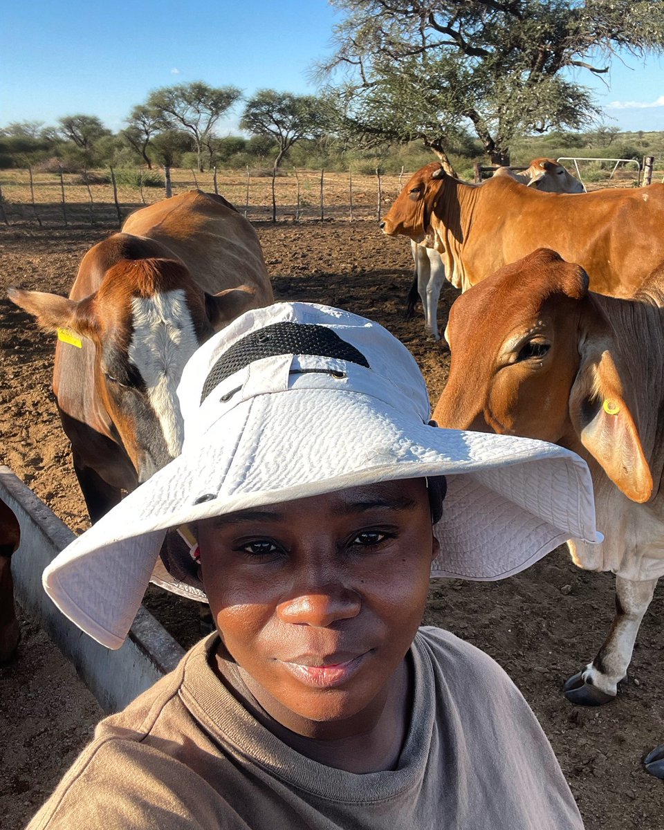 Sweetveld Farming tweet media