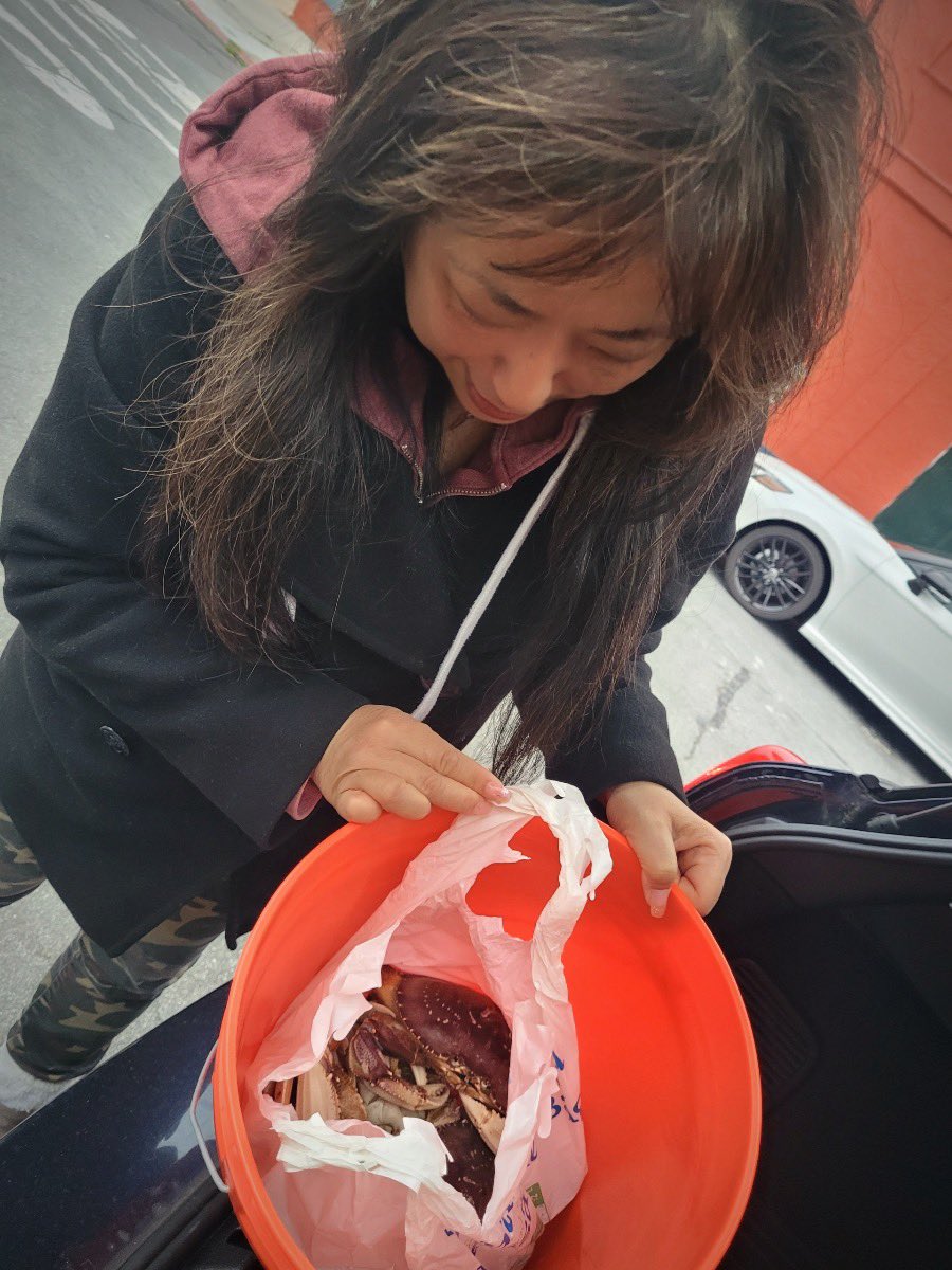 ElaineLeung4's tweet photo. Early bird gets the crab!🦀 Got my last haul of Dungeness crabs at 6AM from Holly the Pink Mermaid🧜♀️ at #SF #Pier45 @TheWharfSF! The SF #BayArea commercial crab season ends at noon today. It’ll hopefully open up on Dec 1st🙏🏽 Thx to all the local fisher folks for a fab🦀 season! https://t.co/93tfNvHYoA