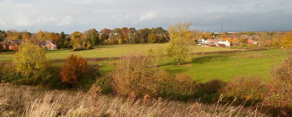 TheTreeCouncil's tweet photo. If you're near Lockington &amp; Hemington tomorrow, don't miss the guided #SpringInYourStep tree walk by Leicestershire Tree Wardens!

More info 👇
https://t.co/TV2hJkxpYC https://t.co/Z37k1M0WZL