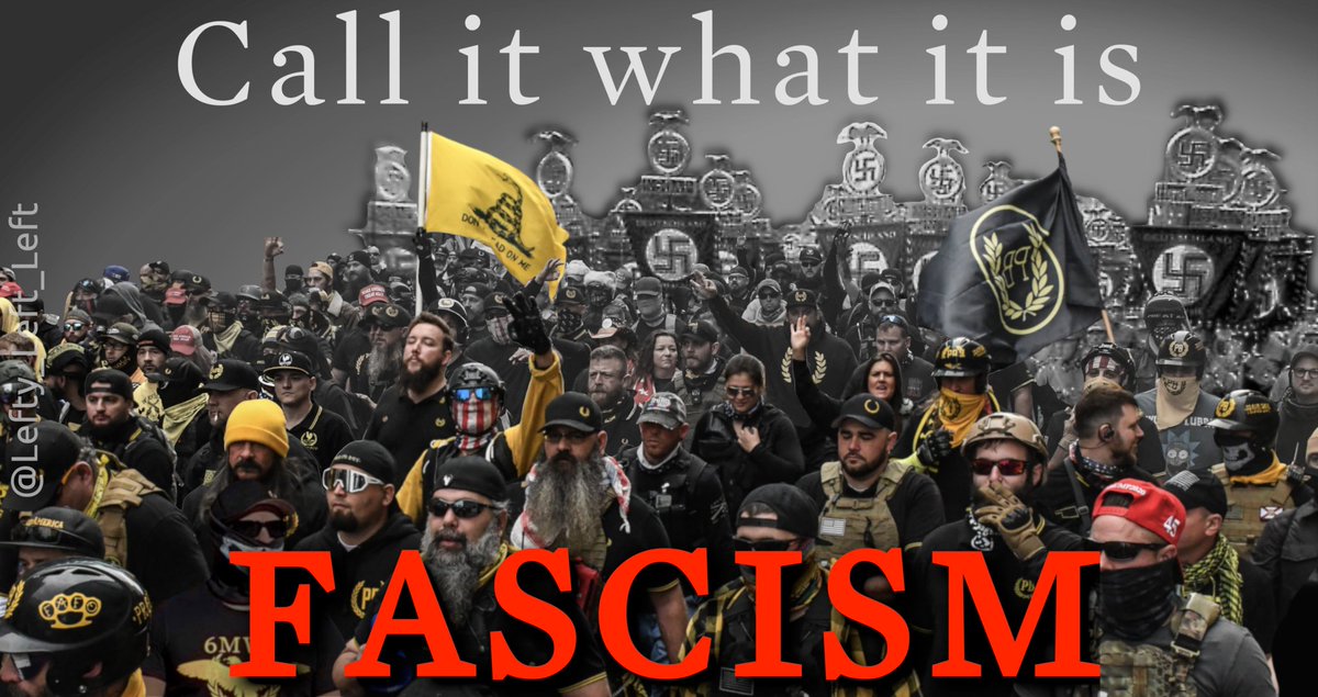 ProudAFAmerican's tweet photo. @RealMonkeyCat #StopFascist https://t.co/CnQqyyh4YQ