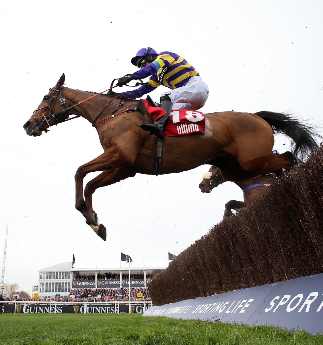 AtTheRaces's tweet photo. CORACH RAMBLER WINS THE 2023 GRAND NATIONAL 🏇 https://t.co/IXDzrs9BK4