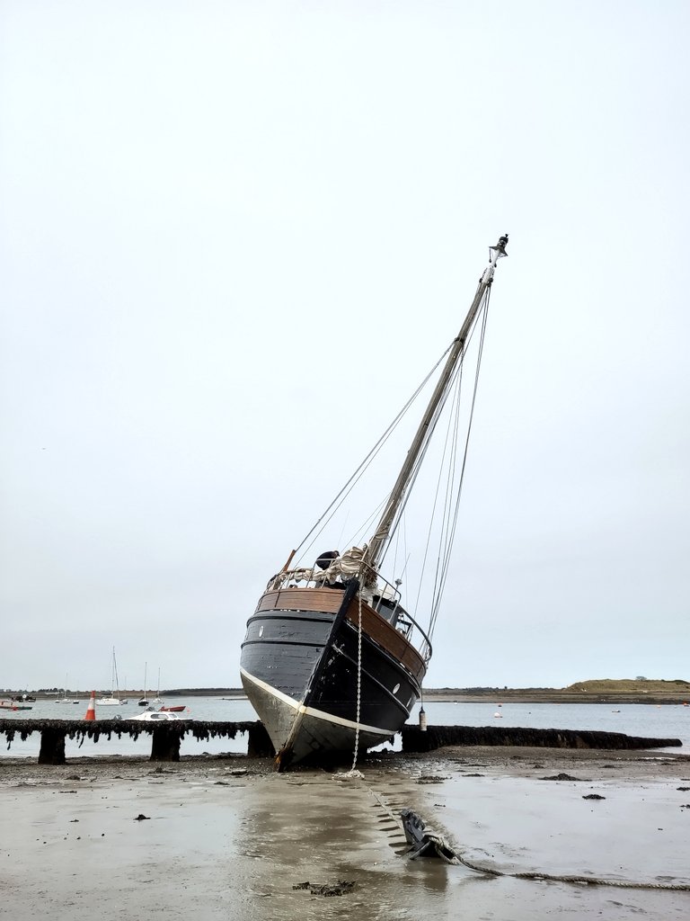 Very sad to see this; quite a few folks scavenging on her this afternoon as well 😢