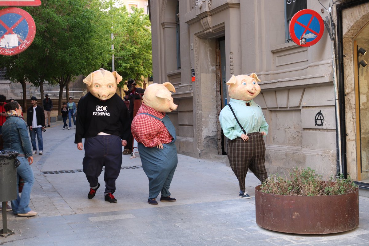 PonentCoopera's tweet photo. 🐷 Els Pigs de @campiquipugui1 han animat a petits i grans en la #PonentFEST2023! https://t.co/wNSC3LrBaT