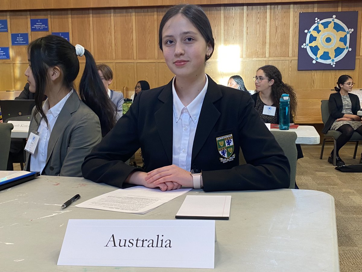 gnslit's tweet photo. Plotting future Model UN mic-drop moments https://t.co/voeMuJTlNW