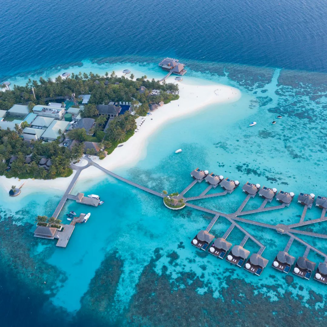 travelbook1ng's tweet photo. Island Paradise: Stunning Photos from Fiji's Luxurious Resorts#FijiResorts #LuxuryTravel #IslandEscape #ParadiseFound #BeachVacation #TropicalGetaway #Wanderlust #TravelPhotography #BucketList #IslandLife #OceanViews #TravelGoals #HolidayVibes #ExoticDestination #IslandParadise https://t.co/63Y40ZrkHp
