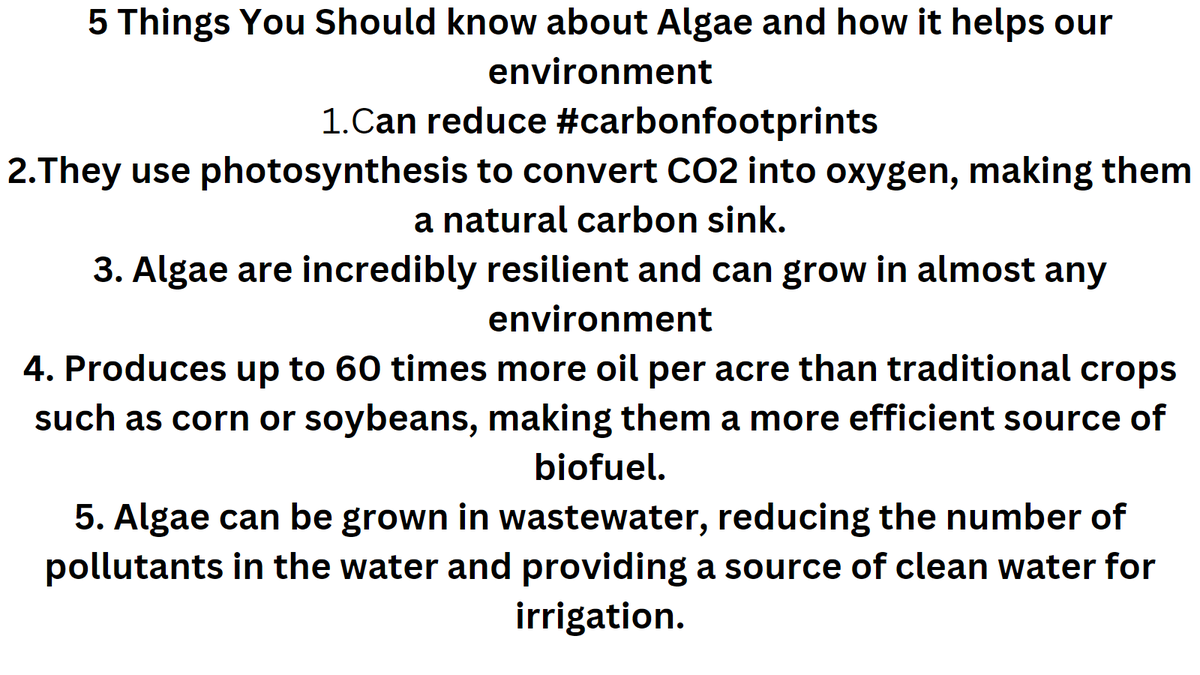 Everyone can reduce their #carbonfootprint Simple to grow and helps the #environment greenalgaebusiness.website/blogs/0