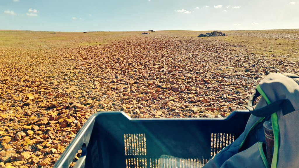 JohanVinpro's tweet photo. What an amazing soil survey at @BOC_Wines. Never judge soil from the surface. The amazingness reveals itself in a profile pit. @Vinpro_za. https://t.co/7O98AIW0cz