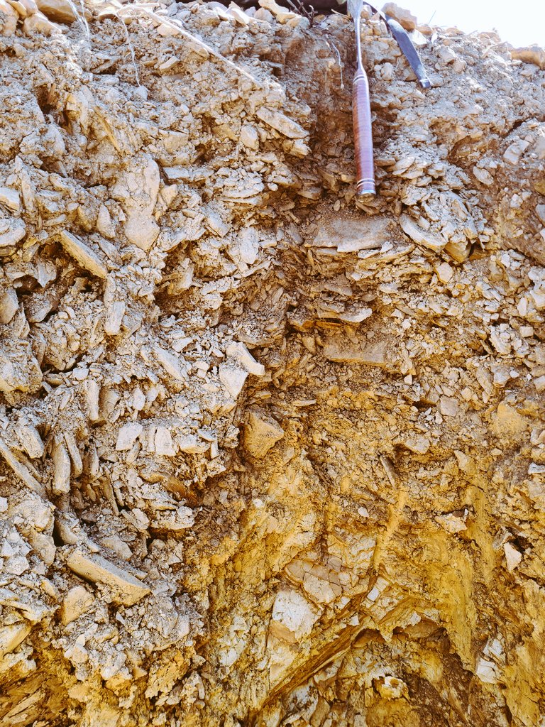 JohanVinpro's tweet photo. What an amazing soil survey at @BOC_Wines. Never judge soil from the surface. The amazingness reveals itself in a profile pit. @Vinpro_za. https://t.co/7O98AIW0cz