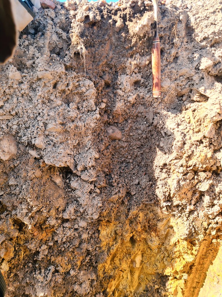 JohanVinpro's tweet photo. What an amazing soil survey at @BOC_Wines. Never judge soil from the surface. The amazingness reveals itself in a profile pit. @Vinpro_za. https://t.co/7O98AIW0cz