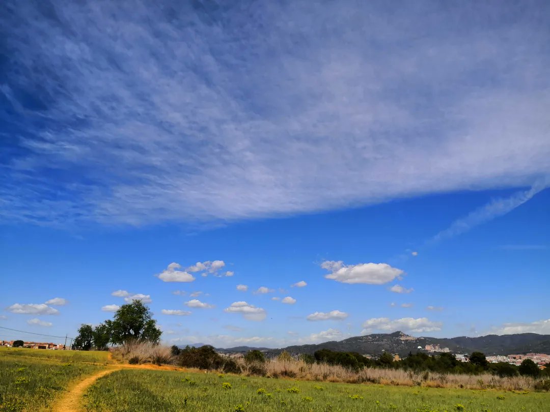 meteoecovisual's tweet photo. #cirrocúmulos #estratiformis #lacunosus y #lenticulares con algunos #cúmulos #humilis este mediodía de sábado desde #santboi

#santboidellobregat 
#BaixLlobregat
#meteofoto 
#cielos #cielo #nube #nubes #meteo #meteorología 
#observadormeteorologico https://t.co/cnG0RfZZpE
