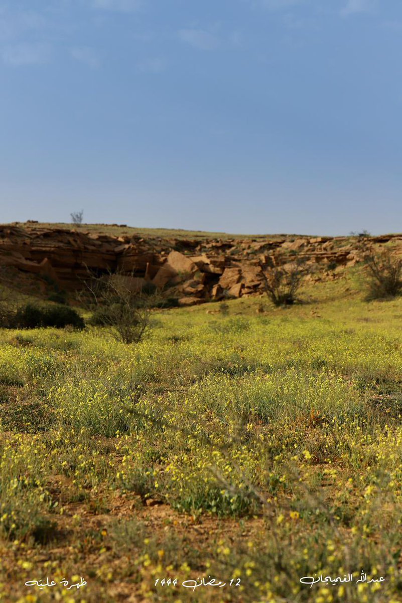 AZ1717's tweet photo. تصوير المبدع عبدالله الغميجان لظهرة علياً جنوب الرياض ١٤٤٤/٩/١٢ هـ https://t.co/f9xXkgS6eh