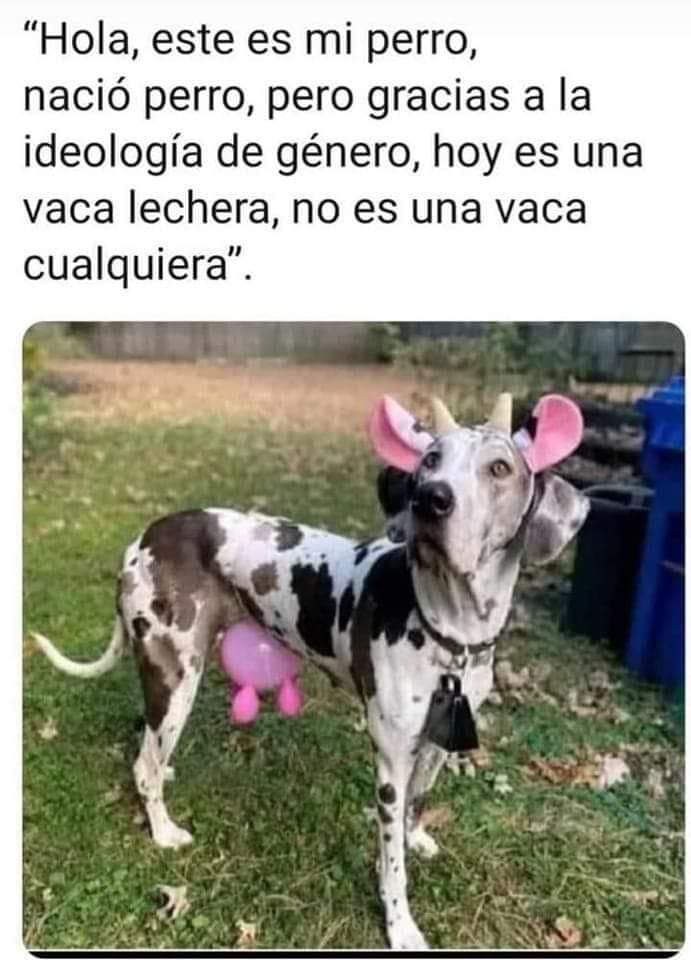 PibasLibertad's tweet photo. Así de incoherentes se ven los progresistas
#EstafaProgre https://t.co/RQ2snF2Yqf