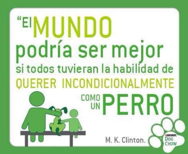 Perrosenlacalle's tweet photo. Totalmente de acuerdo 😃 https://t.co/SQVQkYKgIy
