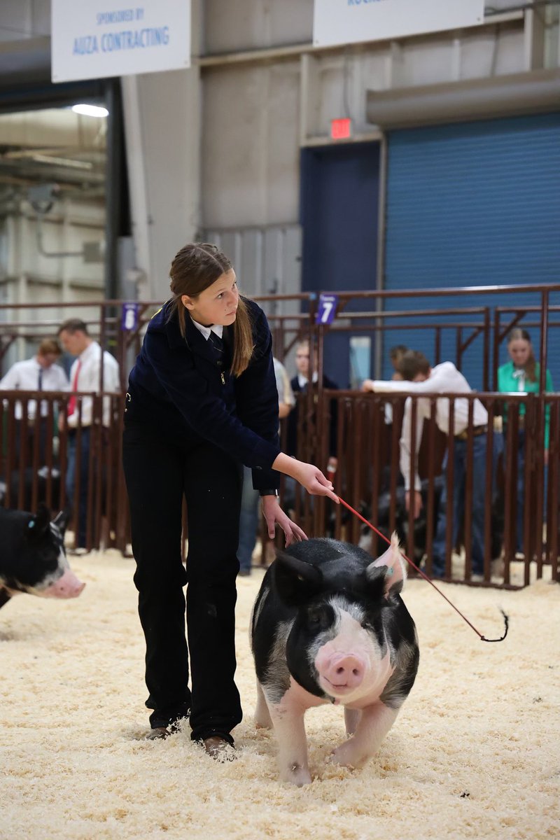 bashaffa's tweet image. Basha FFA had a great week at the Maricopa County Fair. These students worked extremely hard this year on their projects and it paid off. If you would like to support them, please consider donating an add-on.  docs.google.com/forms/d/e/1FAI…
