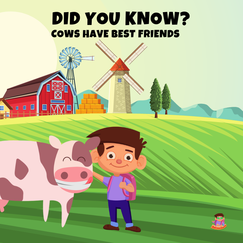 bumps_bottom's tweet photo. How cute!🐮🐄

#BottomBumps #EddieAndTheBumps #Cow #CowFacts #FactsforKids #InterestingFact #MobileGame♾️ https://t.co/Lo4Cvs9pzy