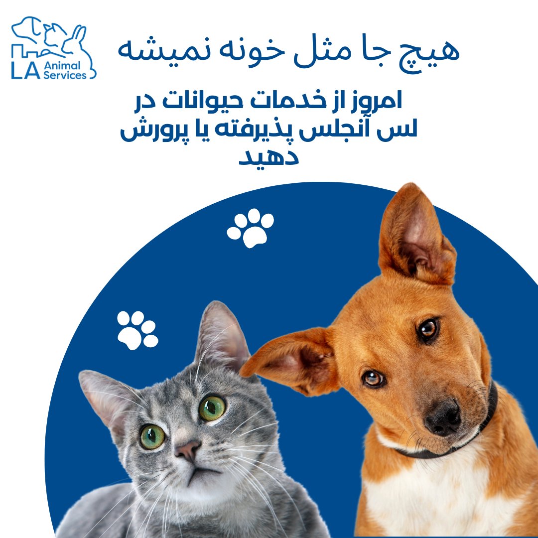 LACityPets's tweet photo. Adopt or foster a pet from LA Animal Services today! Our six LA Animal Services locations are open on Saturdays and Sundays, from 11am to 5pm without appointments. To view our adoptable pets, visit https://t.co/tqCgiDY8Aw #lacitypets #openarmschallenge #adopt #foster #petsofLA https://t.co/9LxrjjobPo