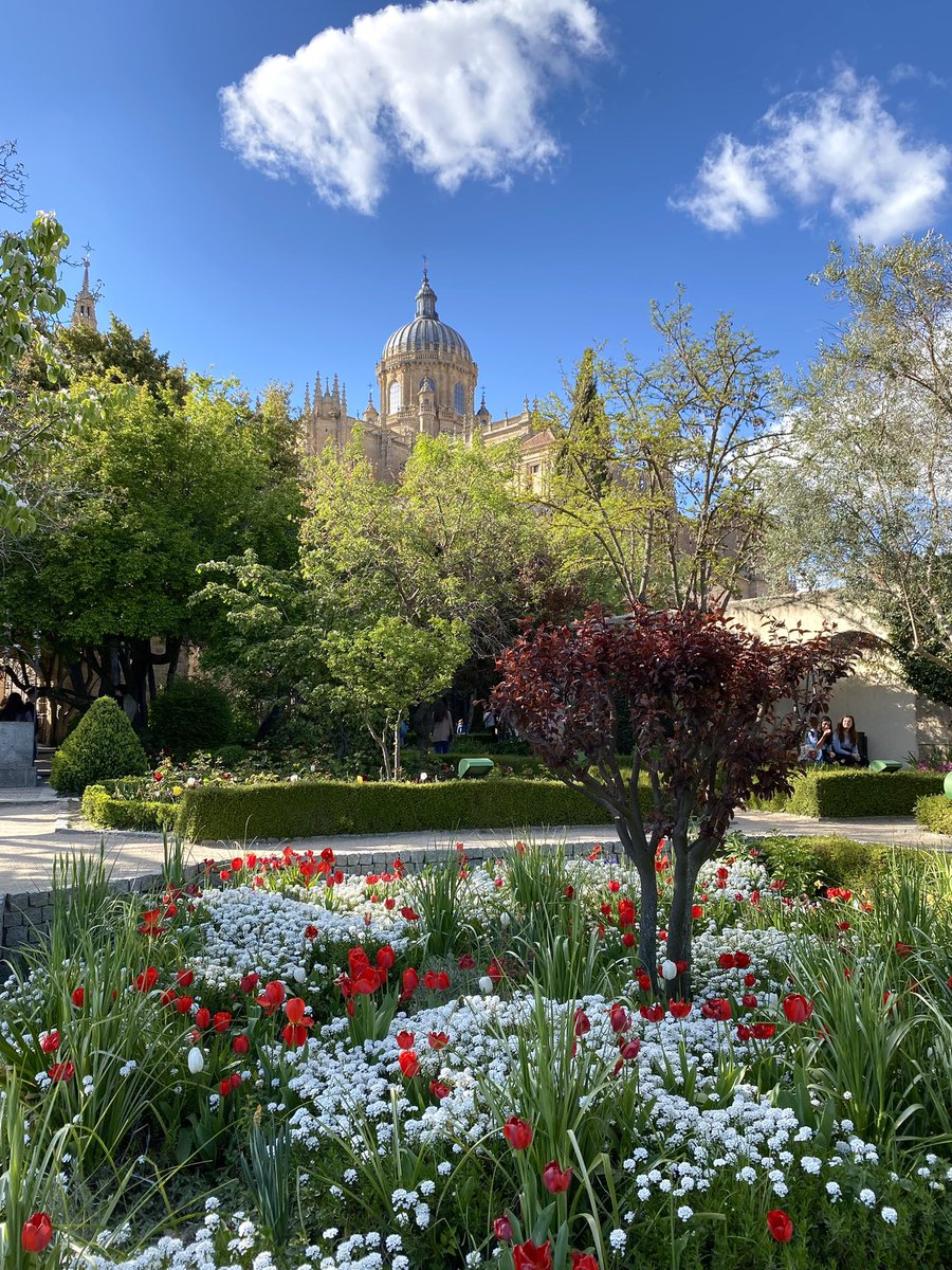 Soniacolina11's tweet photo. qué bonita es Salamanca 🌺🌸🌼 https://t.co/2FxoumDGRp
