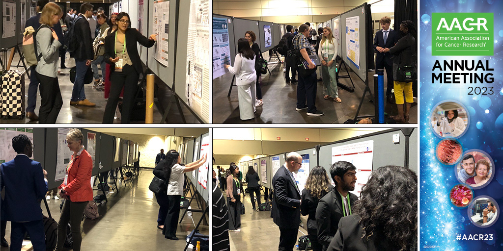 AACR's tweet photo. The next generation of cancer scientists is at #AACR23. Nearly 150 undergraduate students are presenting their research to AACR member judges in today's poster competition. https://t.co/pgDI6BKmoT