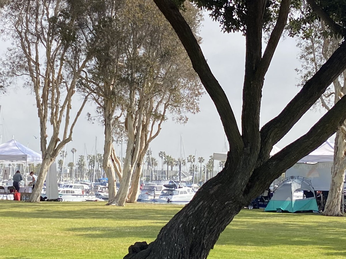 Energy Station (@cv_energyst) on Twitter photo Come visit us at Bayfront Park from 11-4pm today for the #ChulaVista South Bay Earth Day. Learn about our clean energy classroom and make pinwheels! <a href="/CVESDNews/">CVESD News</a> Come visit us at Bayfront Park from 11-4pm today for the #ChulaVista South Bay Earth Day. Learn about our clean energy classroom and make pinwheels! <a href="/CVESDNews/">CVESD News</a>