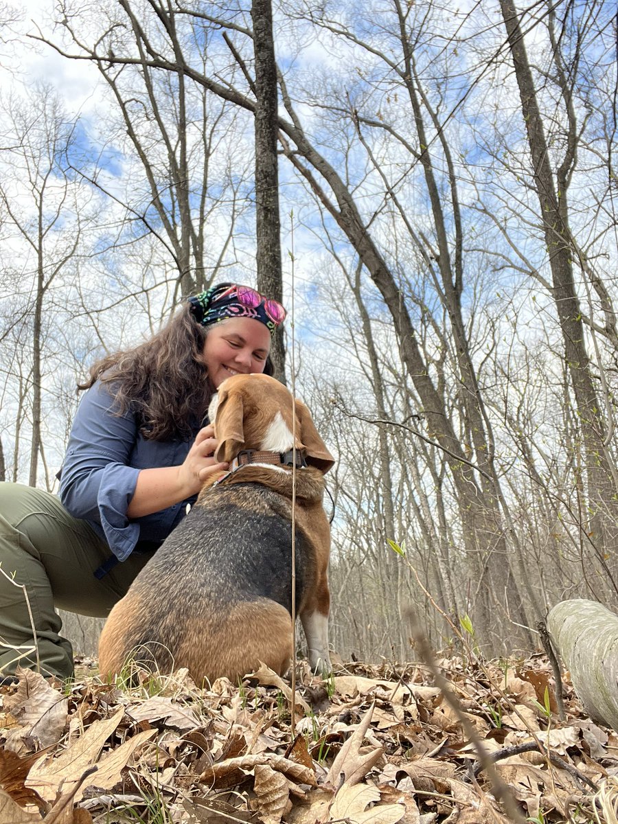 HoundDogLove1's tweet photo. 5 mile morning hike! #hike #saturday #michiganstateparks #pickneyrecreation #beagle #basset https://t.co/l1xfBKr60S
