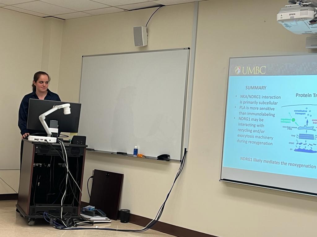 Brewster Lab at UMBC (@labbrewster) on Twitter photo Highlights from URCAD <a href="/UMBCBiology/">UMBC Biology</a> earlier this week, featuring work by undergraduate researchers Anya Viswanathan, Andrew Opincar, Arian Nyandjo, and Polina Kassir. Way to go! 🐟🧪🔬😎 Highlights from URCAD <a href="/UMBCBiology/">UMBC Biology</a> earlier this week, featuring work by undergraduate researchers Anya Viswanathan, Andrew Opincar, Arian Nyandjo, and Polina Kassir. Way to go! 🐟🧪🔬😎