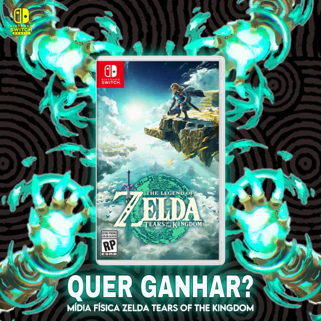 The Legend Of Zelda Breath Of The Wild Nintendo Switch Mídia Física Usado  Pronta Entrega