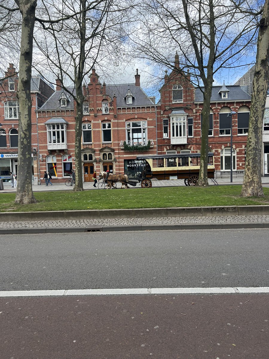 Bienvenidos a Den Bosch! #estoesholanda #denbosch