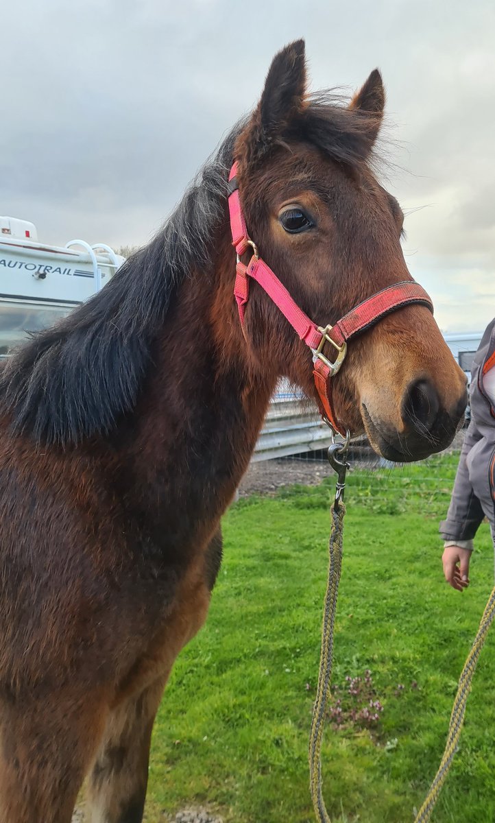 Lauren Winter tweet media