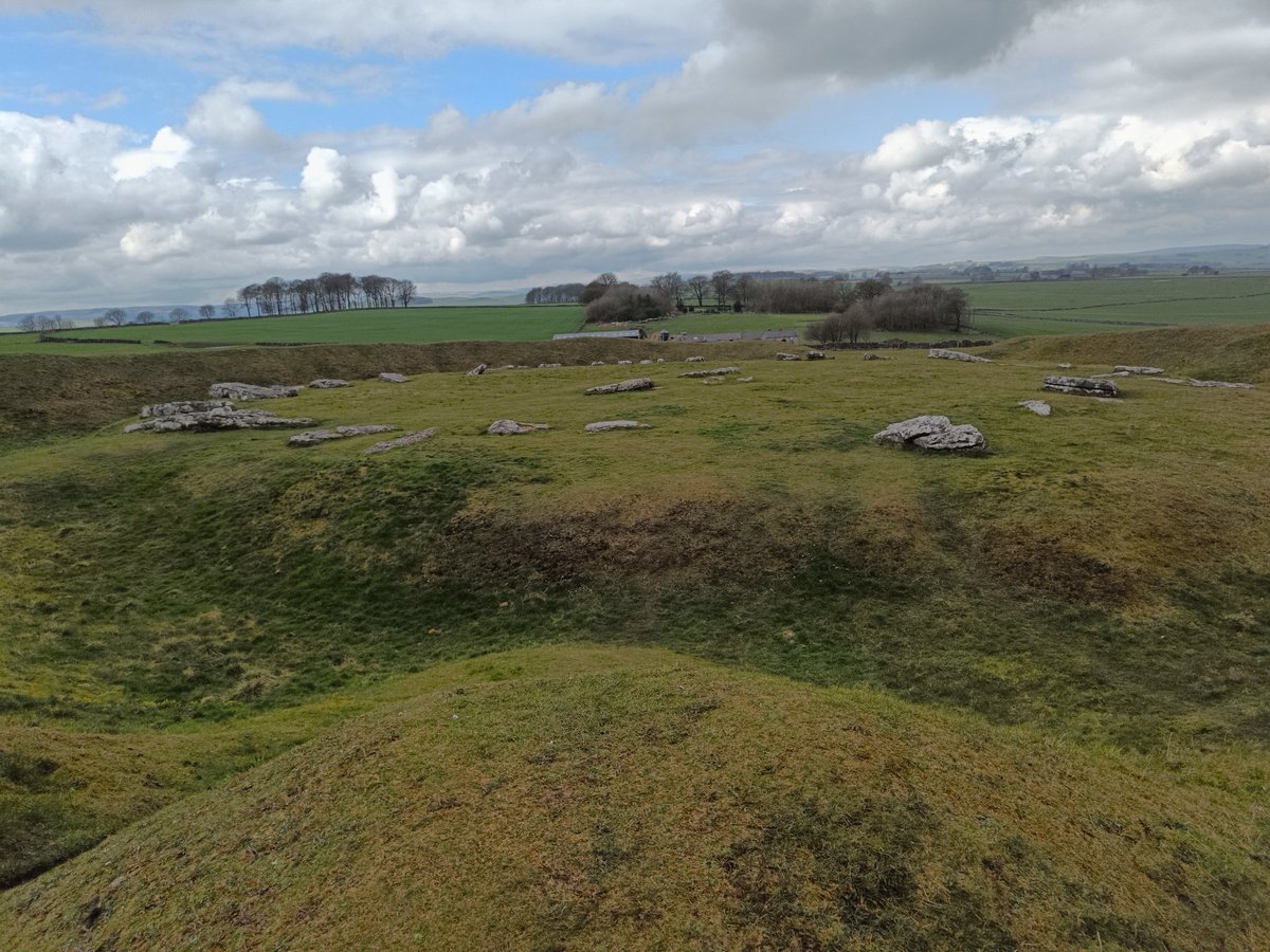 Chalkhorses3's tweet photo. ⭐A marvellous visit to Arbor Low stone circle. Skylarks, curlews in chorus &amp;a Big Bee followed us round the circle &amp; barrow. Magical, atmospheric &amp; quietly thrilling. Will return! #arborlow #earthmagic #landscapemagic #earthmysteries #stonecircles https://t.co/RNOY82EPLG
