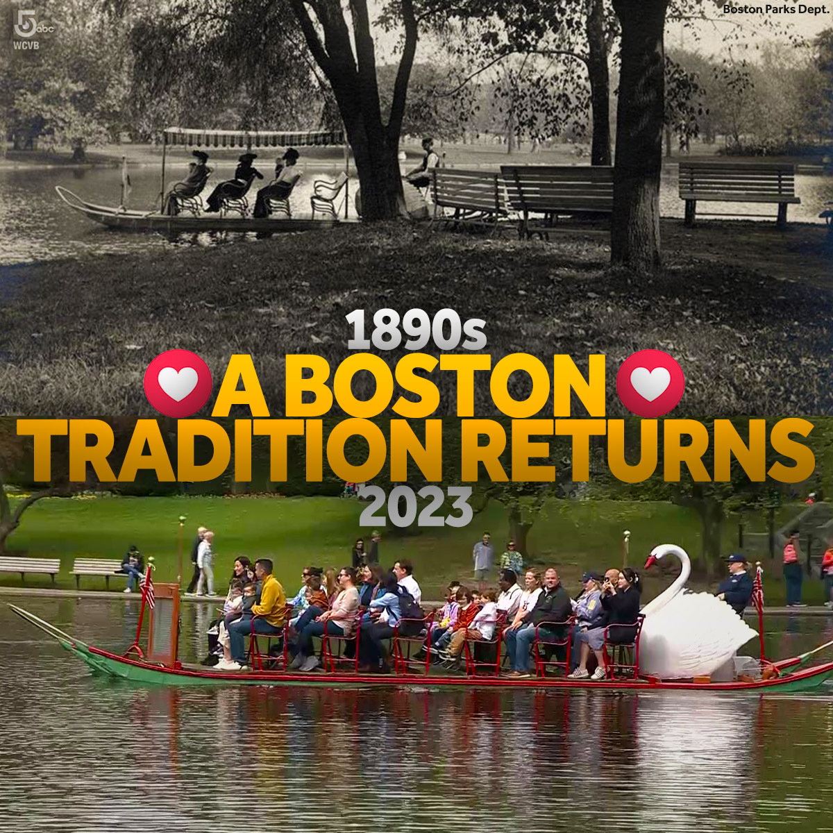 🦢 #Boston's beloved #SwanBoats are open for their 146th season 🦢 wcvb.com/article/swan-b…