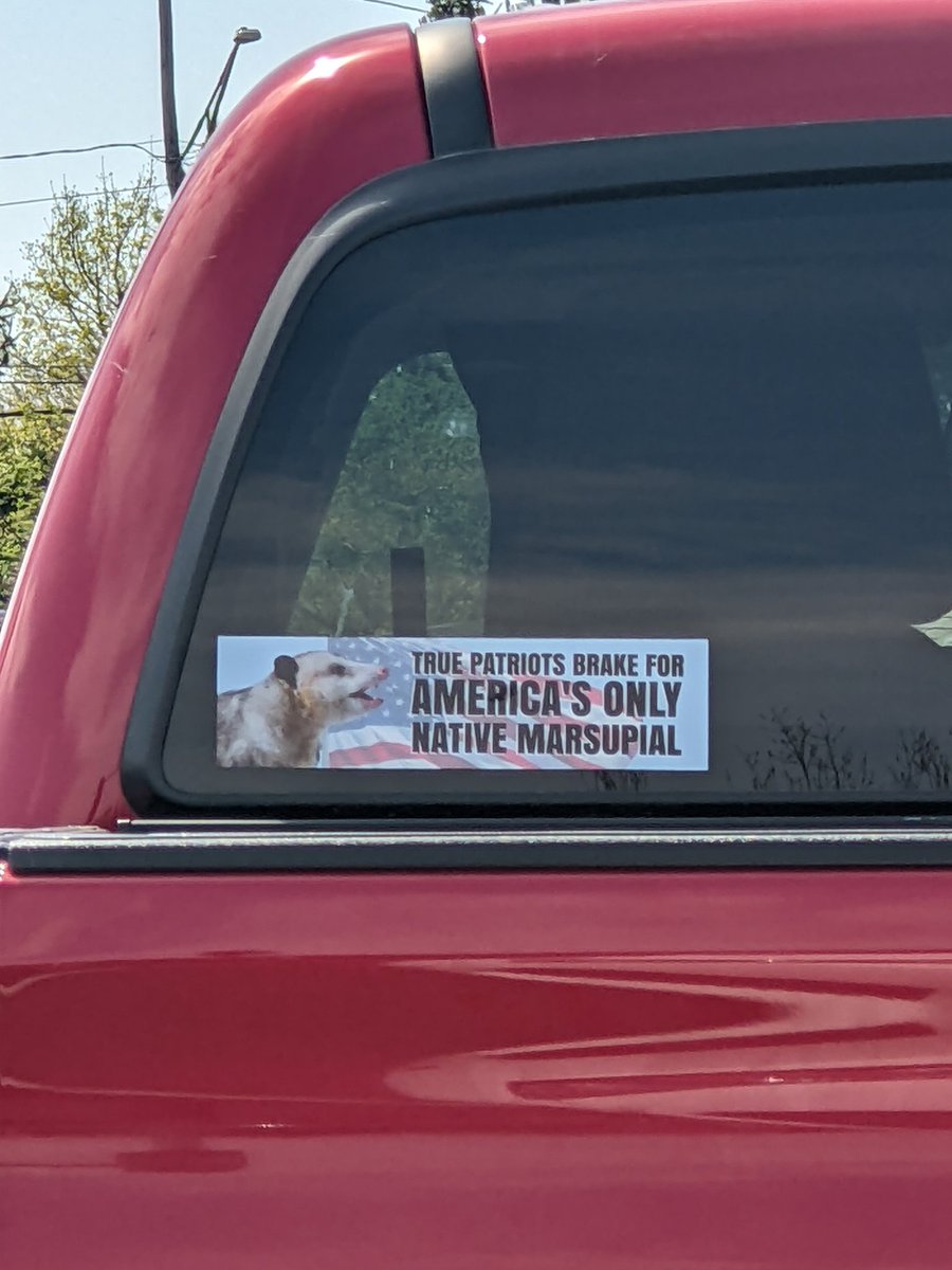 obscuredbykyle's tweet photo. I was driving down the rooooaaaaaad 🎵 #phish #possum https://t.co/BaSmRauNcY