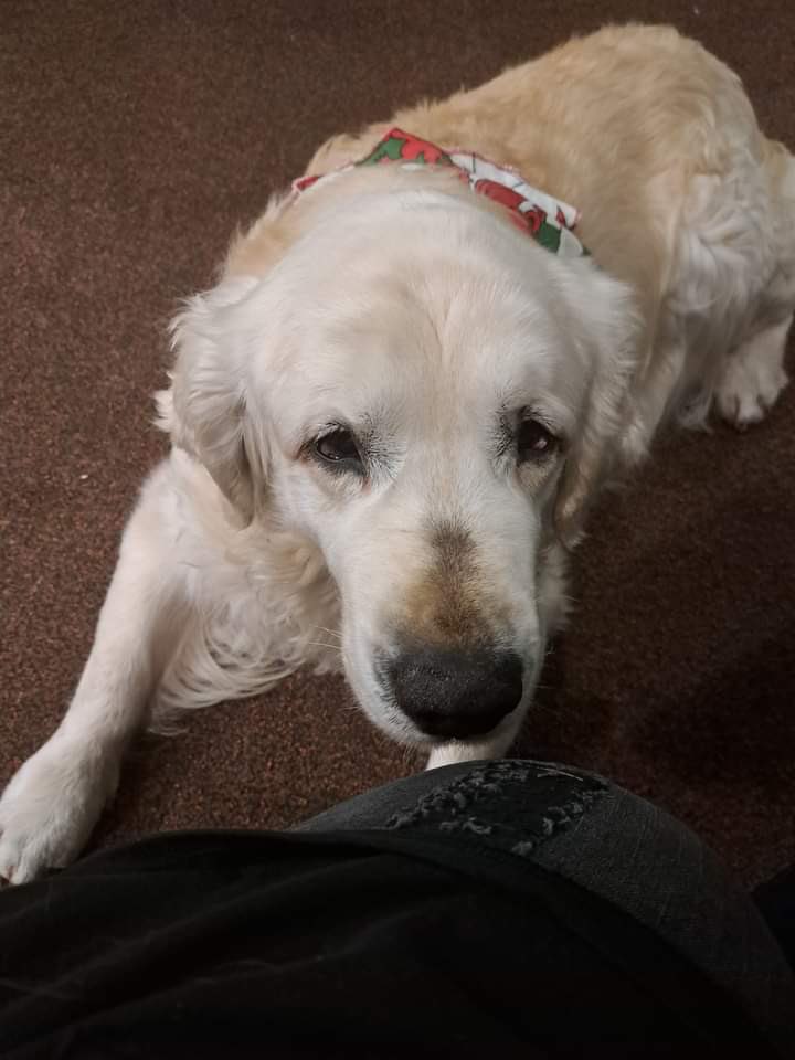 amanda-on-twitter-same-mikey-same