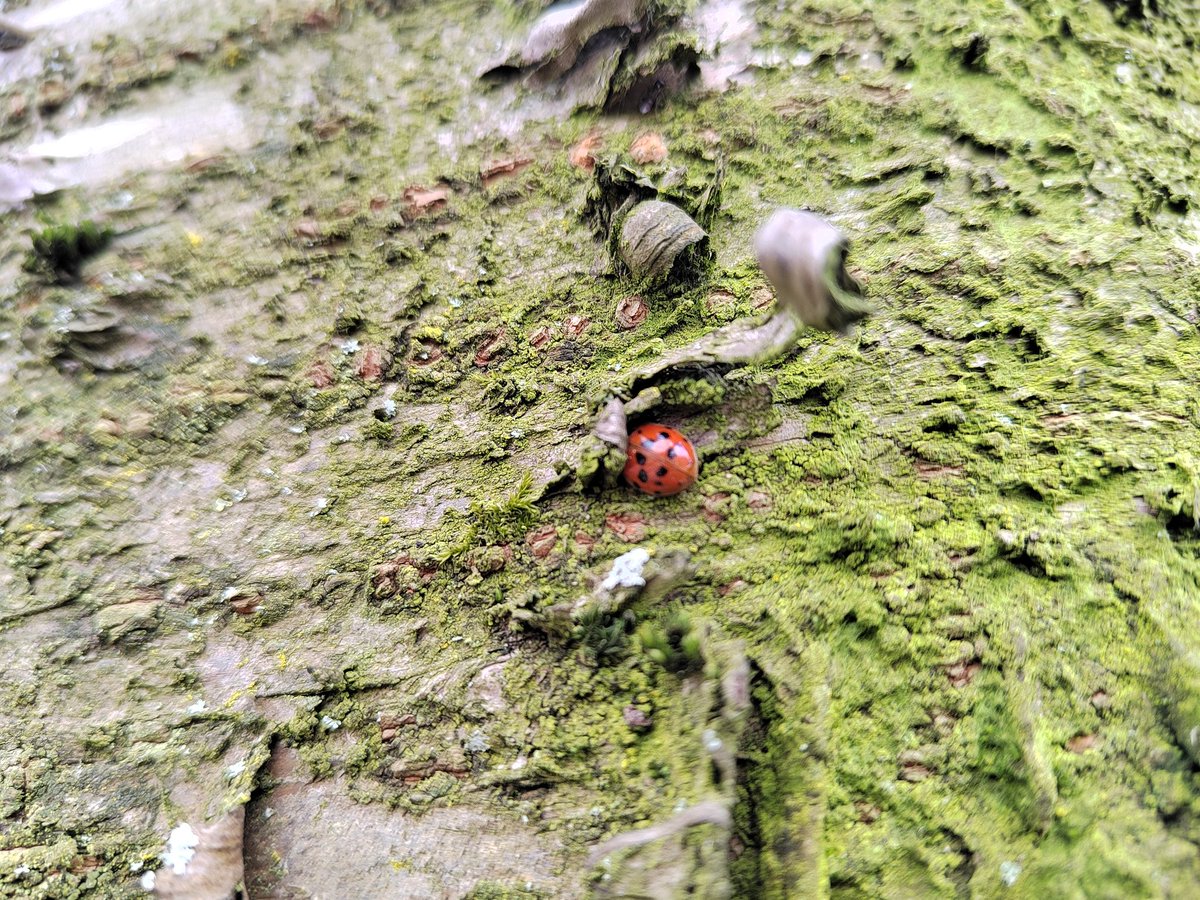 Wish the spring can last longer ❤️
my ideal life : getting close to nature, being far away from crowds, and hiding myself