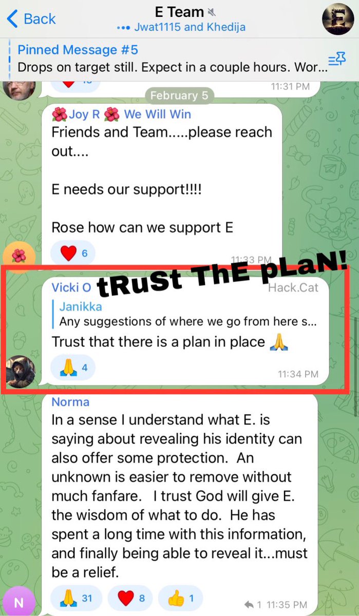 esmonkey_cat's tweet photo. @SevenTheLion @AUMindyT @Ghosted15466740 @FBIMinneapolis @Sheriff_FCSO Even those members like Vicki who had previously denounced Q, have fallen in line. He needs new members to fund his grift and his ego, so he canโt afford to turn away Qanon. Trust E! Trust the plan! Here is Vicki โค๏ธing WWG1WGA ๐ https://t.co/PJRnKVNpRh