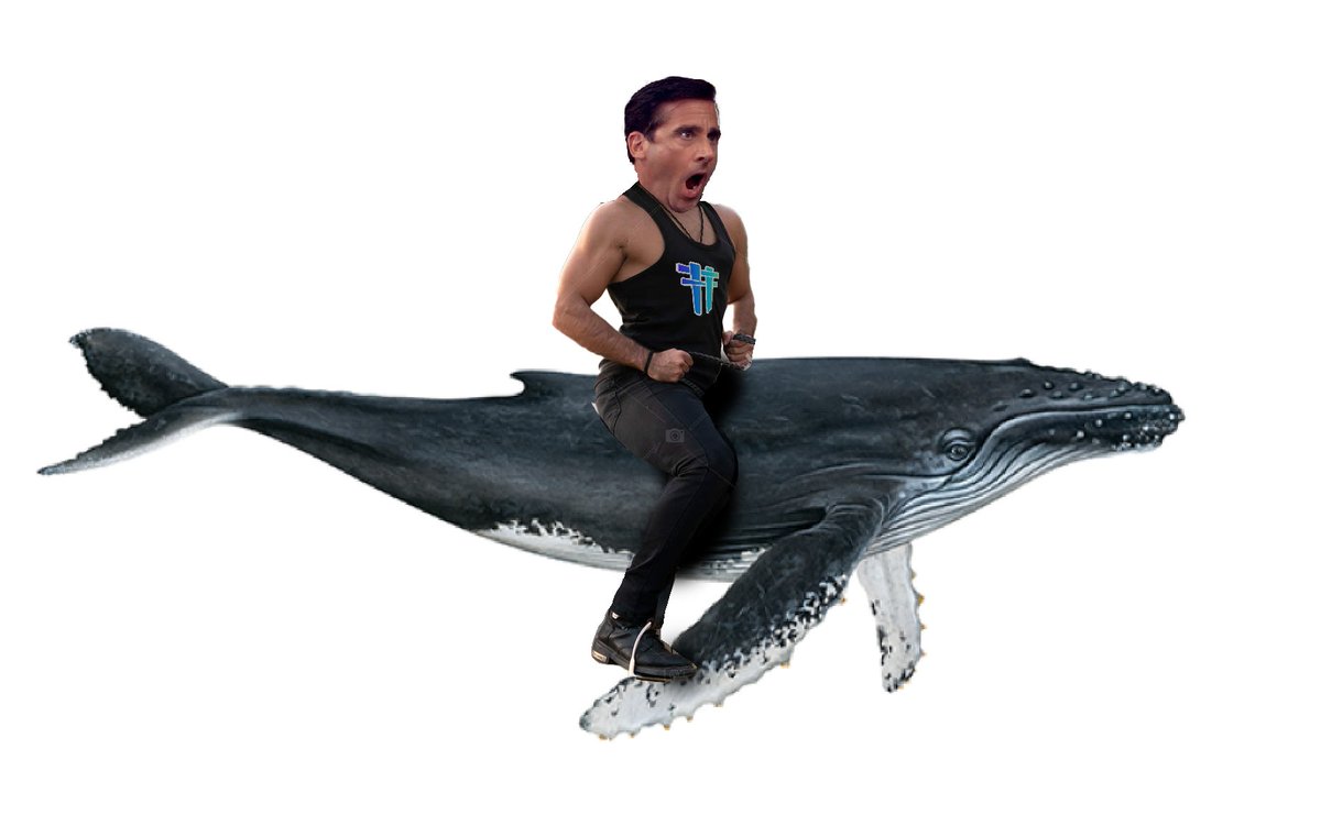 MichaelScottori's tweet photo. Who's also been riding the $WHALE wave? https://t.co/YF4Q5XXwSa