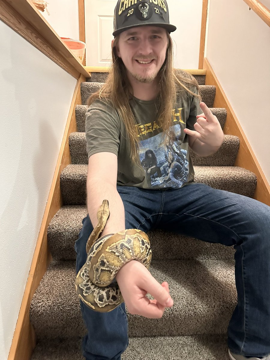 Wiscodsin's tweet image. After the concert last night I went home and hungout with my Blood (Python).
#python #bloodpython #reptile #reptiles #exoticpet #snake #lizard
