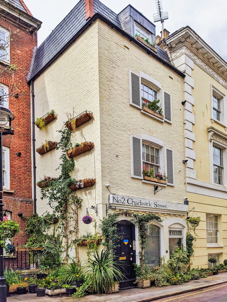 Samuel Hughes tweet media