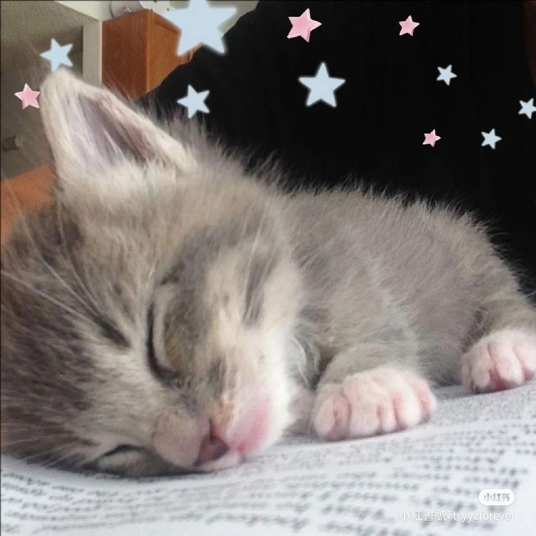 cchmos's tweet photo. ⠀        · ୨ Cosas para hacer por aburrimiento :  
                     ィun diario de sueños . 🐭🧀 https://t.co/PXX2NEJKlY