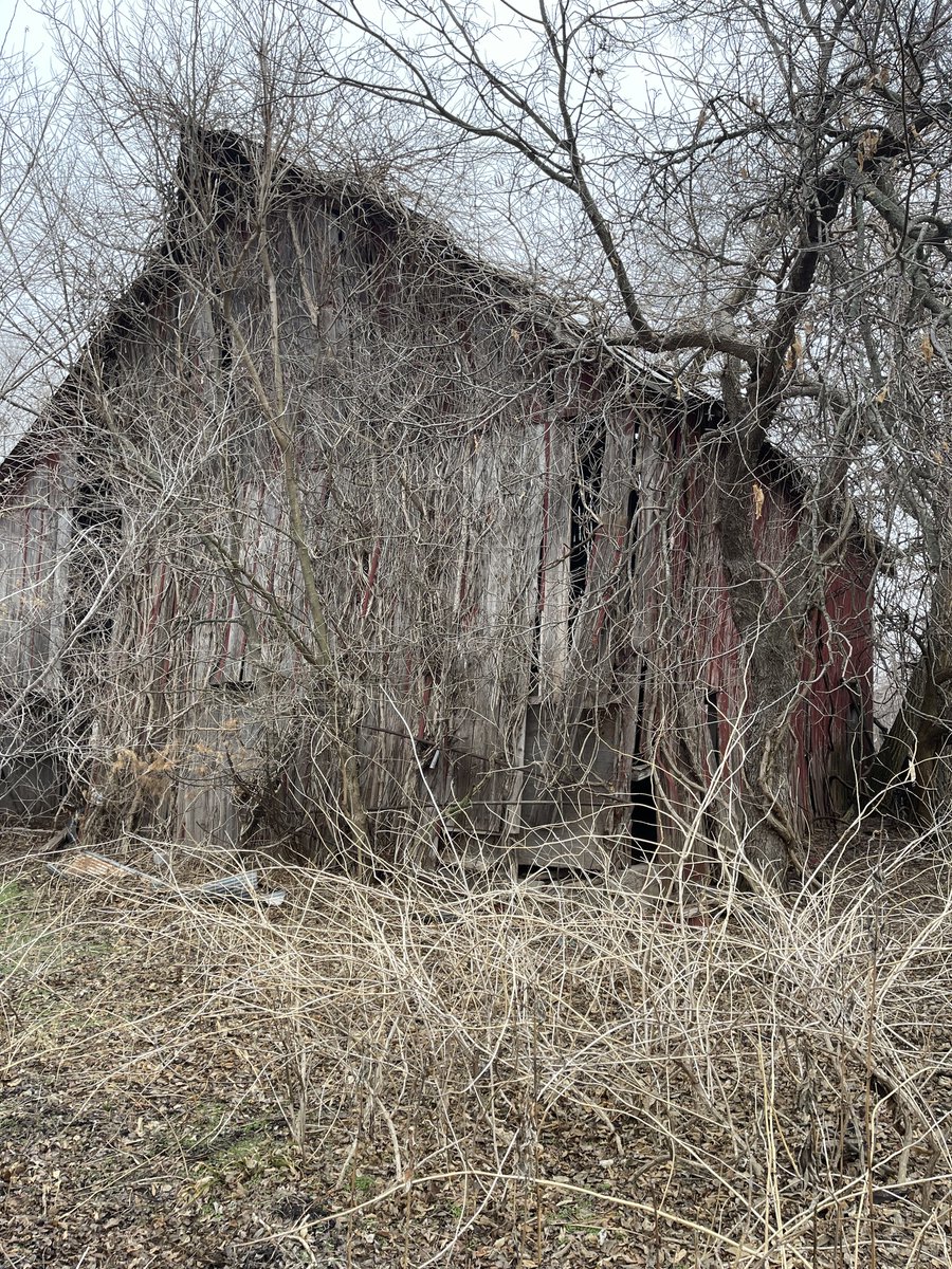 Swilbur's tweet photo. "BabyBoomerRealtor*".  The market has shifted, but it can  still be a great time to re-dream your real estate needs.  I specialize in traditional homes, recreational land, and investment properties.

https://t.co/ZAKEnUeONQ
316-655-6455... https://t.co/XHFCA9Apoc https://t.co/usIo1fLIvD
