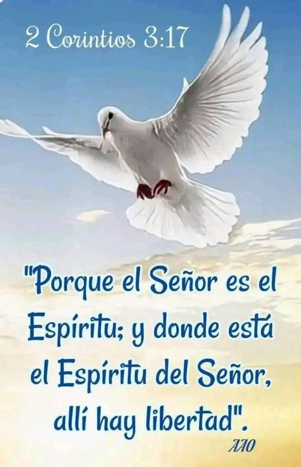 #LogrosEnRevolución
Porque el Señor es el Espíritu; y donde está el Espíritu del Señor, allí hay libertad.
2 Corintios 3:17
<a href="/IralisailC/">Iralisail. Carballo</a> <a href="/ApureHumana/">GESTION HUMANA INIA APURE</a> <a href="/Aolivero2002/">Aiskel Olivero</a> <a href="/Mippcivzla/">mippci</a> <a href="/MirnaGiralit/">Mirna Giralit Olivero</a> <a href="/MkPatriota/">Mildre Patriota</a> <a href="/twiteroejido/">💯🐦💪juan carlos🇻🇪🥇🐦💯</a> <a href="/pelusat647/">Pelusa</a> <a href="/twiteroejido/">💯🐦💪juan carlos🇻🇪🥇🐦💯</a>